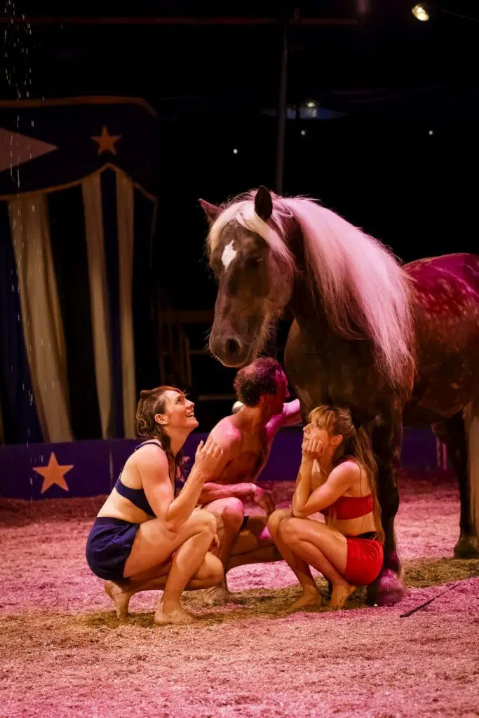 Bertrix > Spectacle équestre > Tempo d'Eole