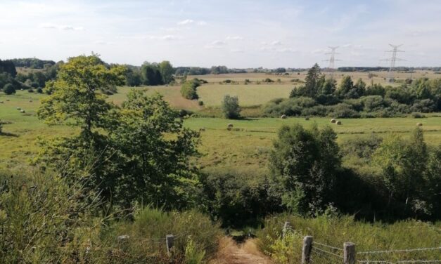 Arlon > Balade > Marais > Heinsch