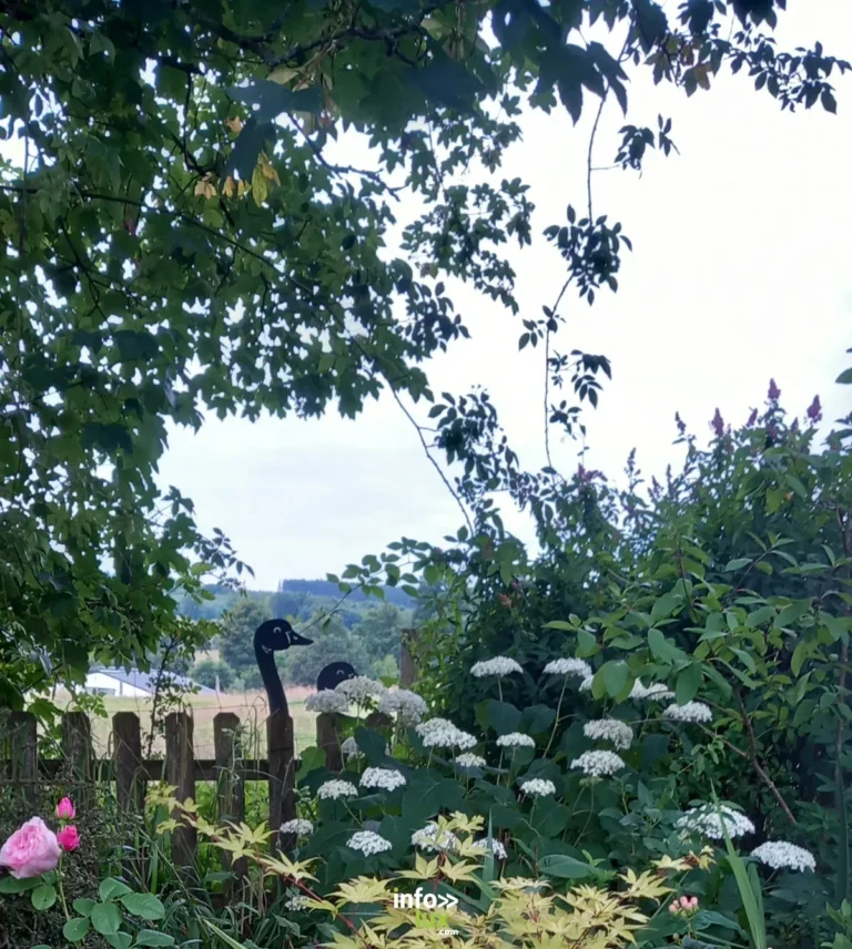 Suxy > Jardin de Bubu