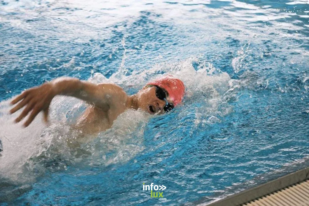 Piscine du Domaine de Chevetogne 2026 : tarifs, horaires et conseils pour la journée