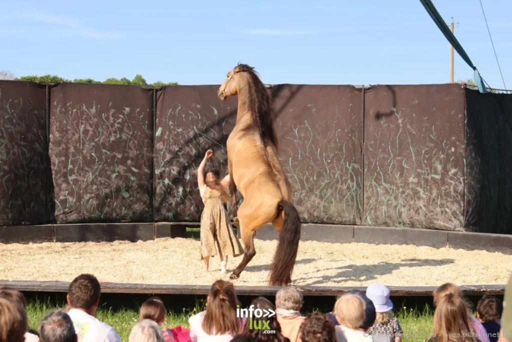 Boisseilles > Festi’Cheval > Cirque vivant > Photos