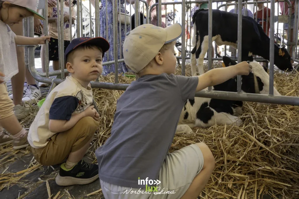 Nivelles > Foire agricole > Photos