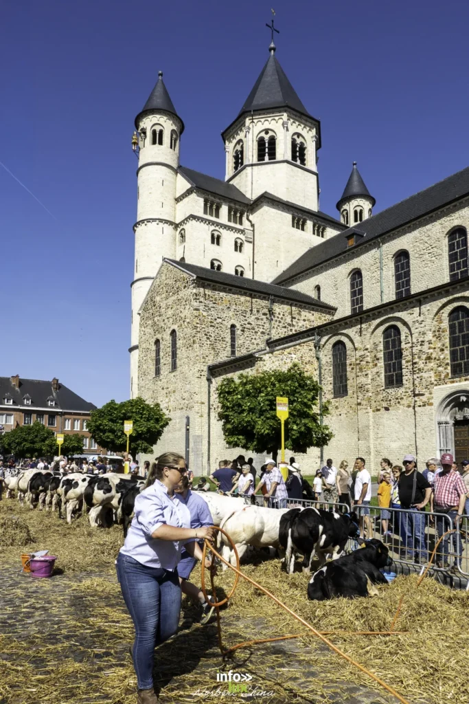 Nivelles > Foire agricole > Photos