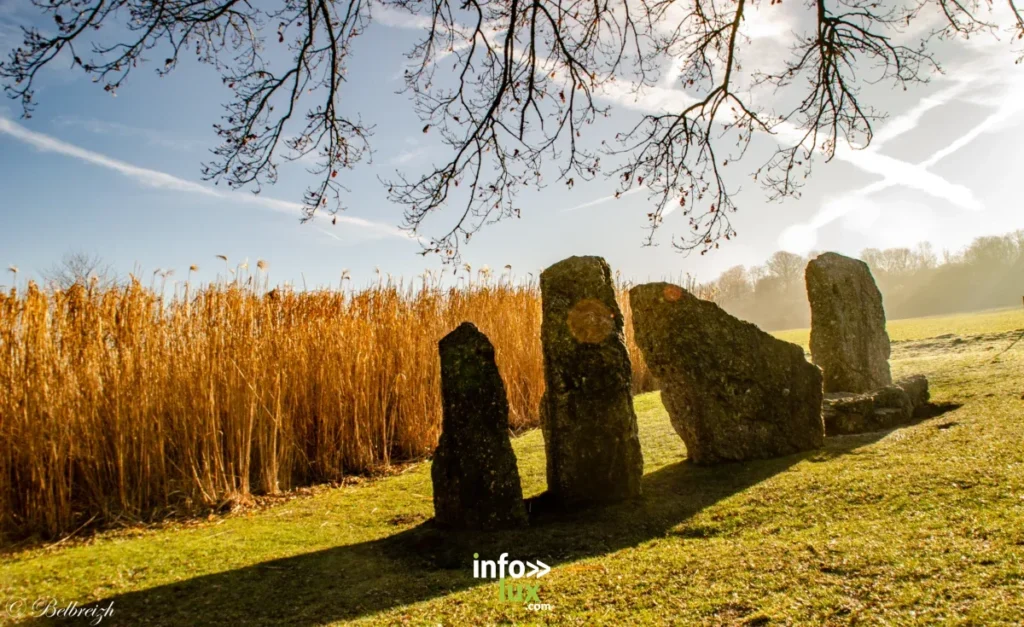 Durbuy > Les menhirs de Wéris