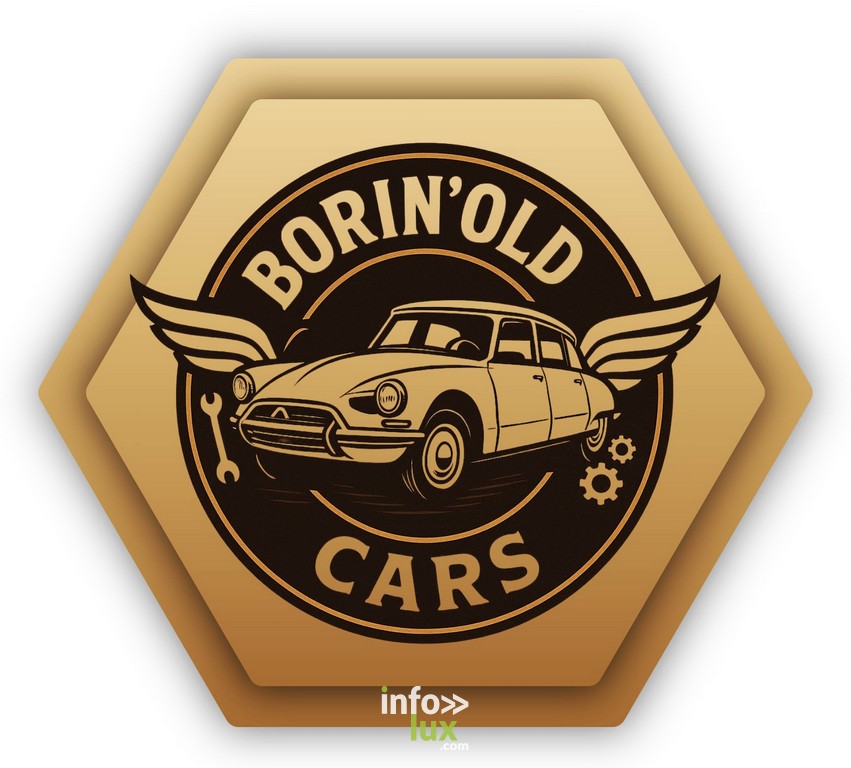 Dour > Exposition voitures > Borin'Old Cars