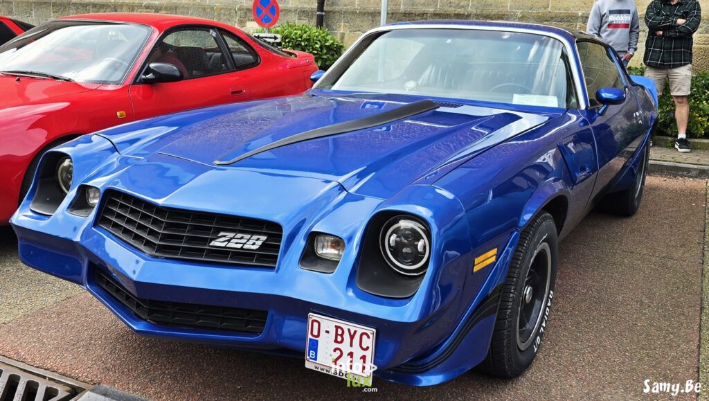 Dour > Exposition voitures > Borin'Old Cars