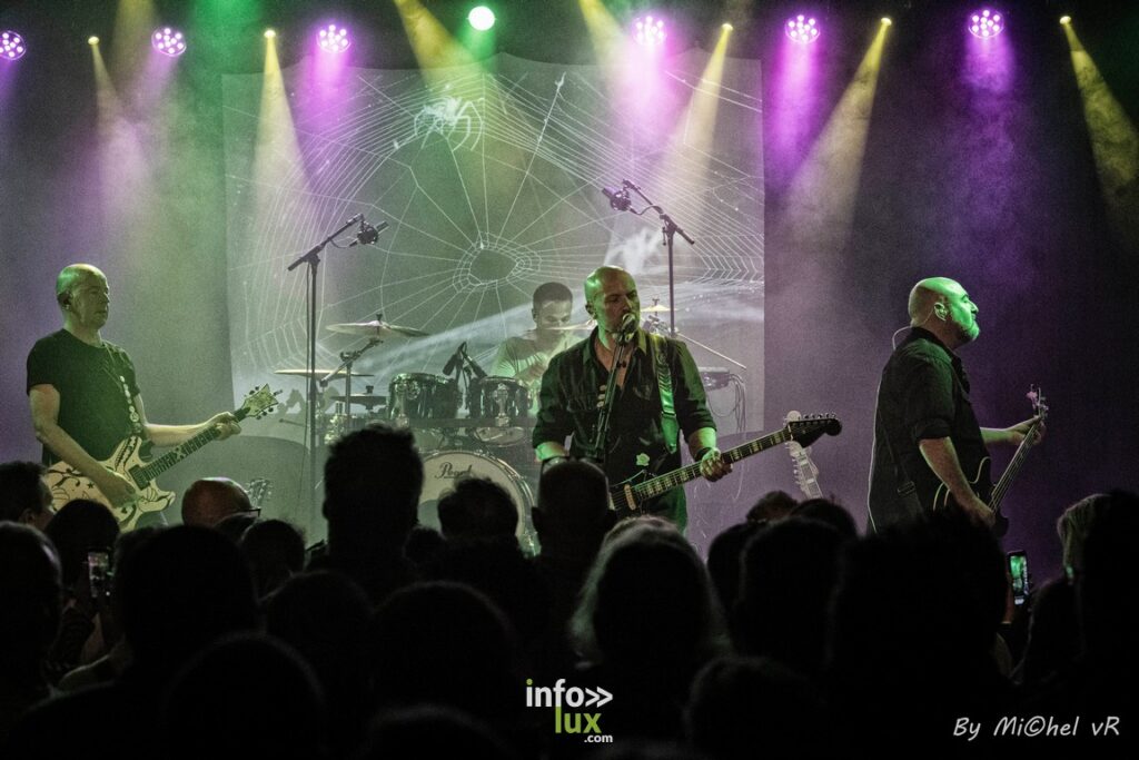Ittre > ZikZak > Concert > Curiosity > Photos