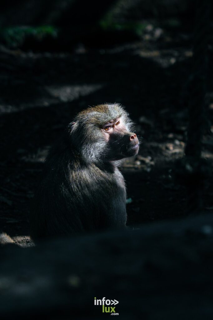 Libin > Portrait > Photographe > Mike Marino