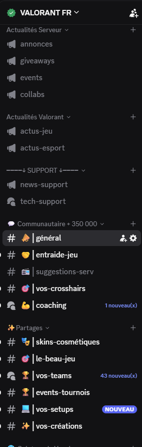 Gaming > Communauté > VALORANT FR un discord qui rassemble les joueurs