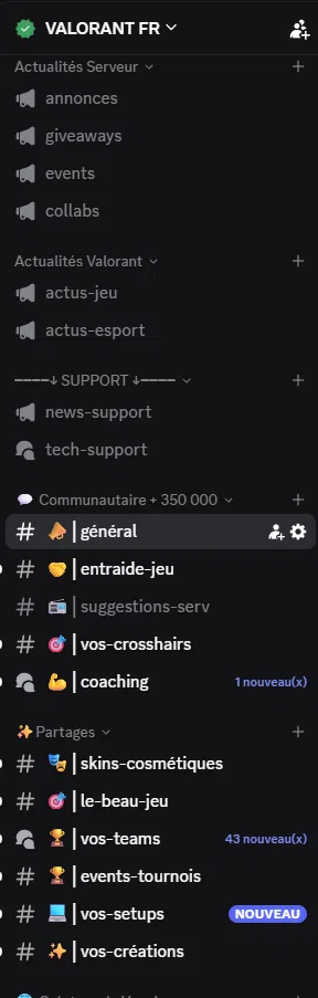 Gaming > Communauté > VALORANT FR un discord qui rassemble les joueurs