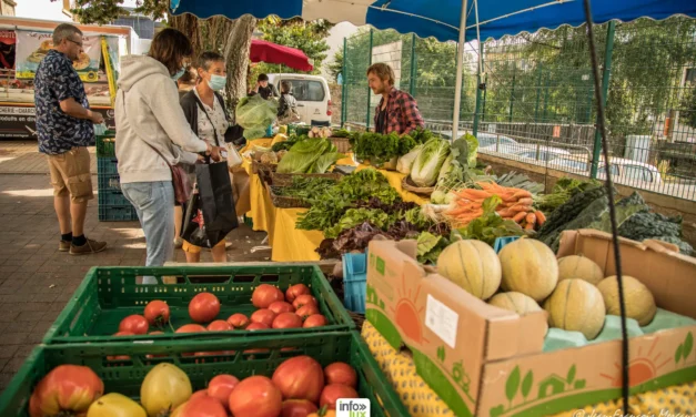 Marches du terroir en province de Luxembourg : guide producteurs 2026
