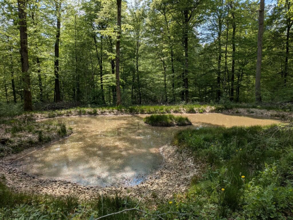 Attert > Biodiversité > Résultats
