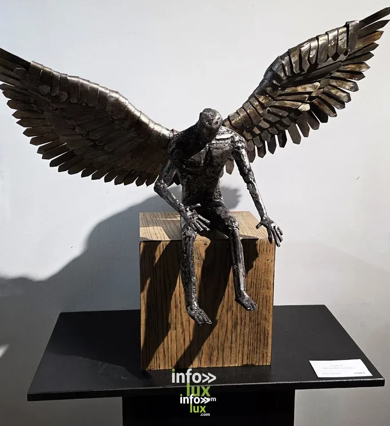 Mons > Exposition Traits et Matières en photos