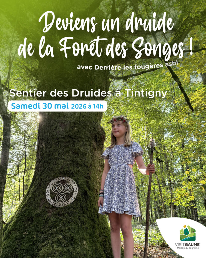 Tintigny > Balade > Santier des Druides