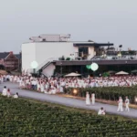 Foule vetue de blanc dans les vignes du Domaine du Chant d'Eole lors de l'Eole Music Experience a Quevy
