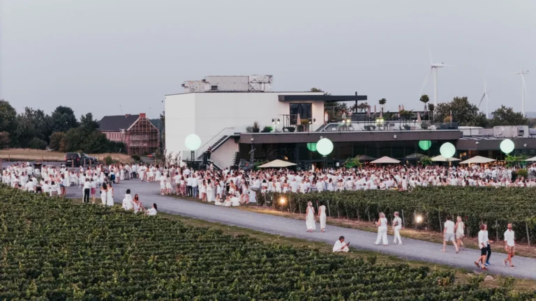 Eole Music Experience 2026 : trois jours de concerts au cœur des vignes à Quévy