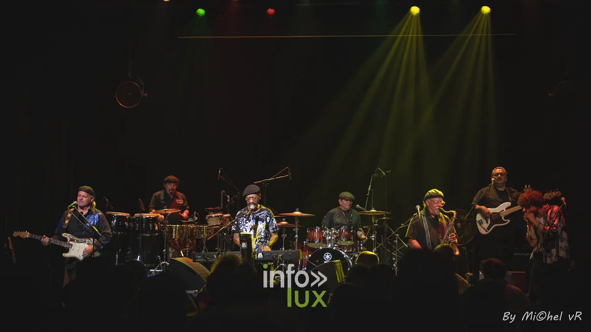 War en concert a De Centrale (Gand), 27 mai 2026 — 50th Anniversary Tour, photo 26 par Michel van Rhijn