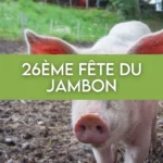 26ème fête du Jambon à Arlon
