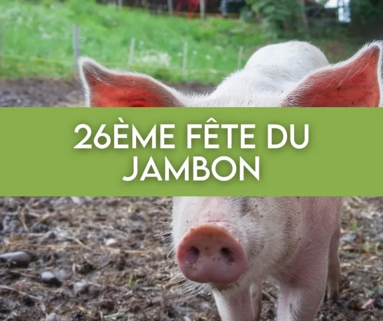 Arlon > Animation > 26ème fête du Jambon