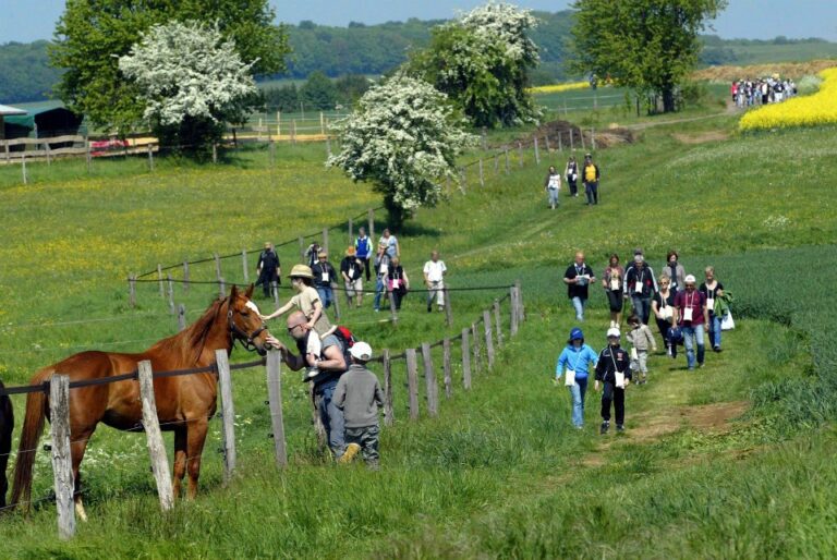 Loisirs et sorties en famille en province de Luxembourg : activités et idées