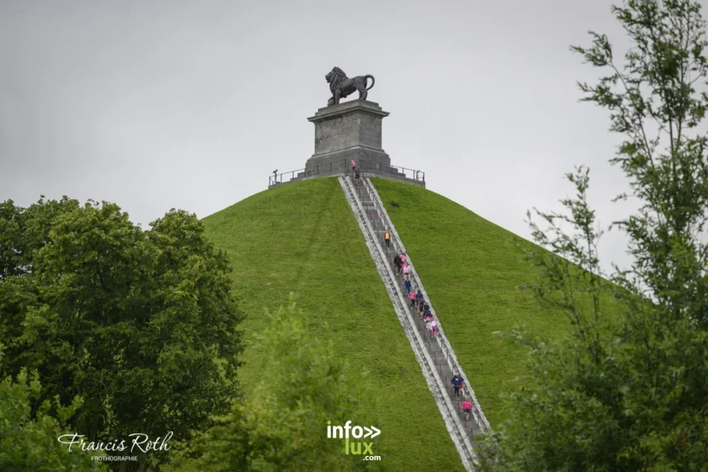 Waterloo > Lion For Fuck Cancer > Photos