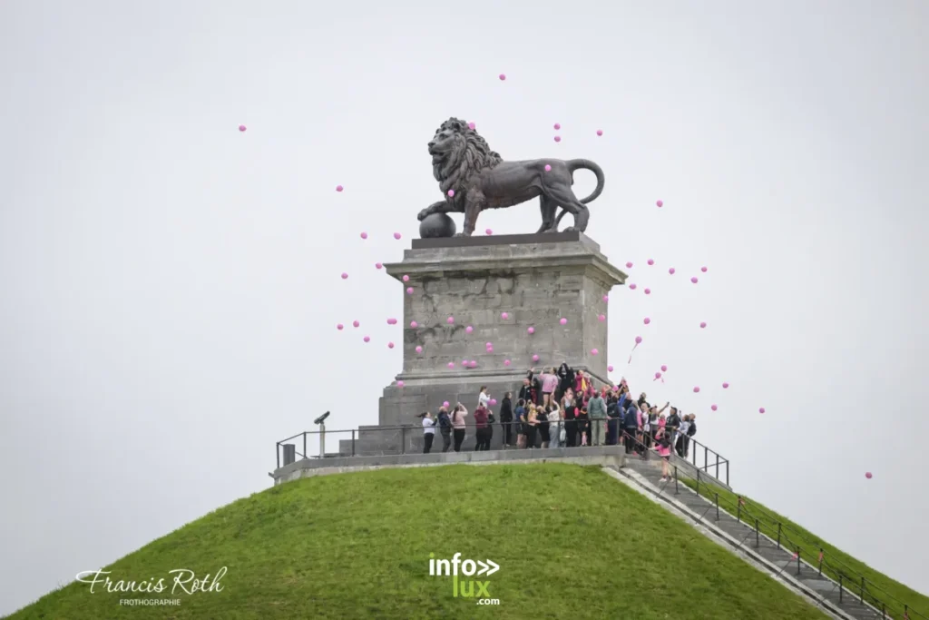 Waterloo > Lion For Fuck Cancer > Photos