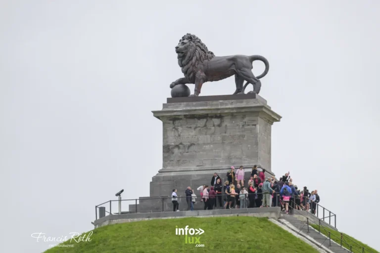 Waterloo > Lion For Fuck Cancer > Photos