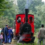 Activité - Le Petit train du Bonheur 2026