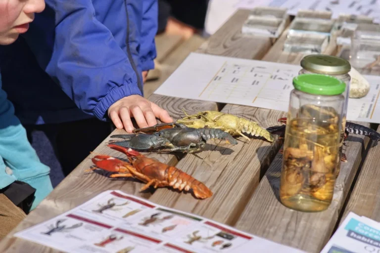 Ottignies-Louvain-la-Neuve > Atelier > Activité enfants – Le Lab’Eauratoire du Savant Fou