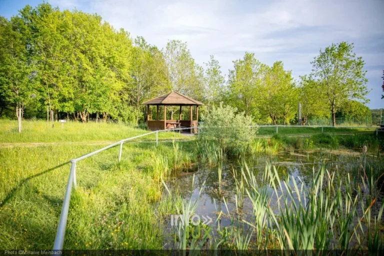 L’arboretum de Frassem à Arlon : 50 essences et un étang aux portes de la ville