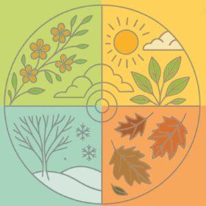 Atelier "Au fil des saisons" à l'Abbaye de Villers-la-Ville 2026