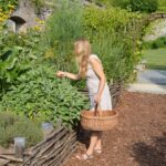 Atelier d'herboristerie - Plantes et santé à l'Abbaye de Villers 2026