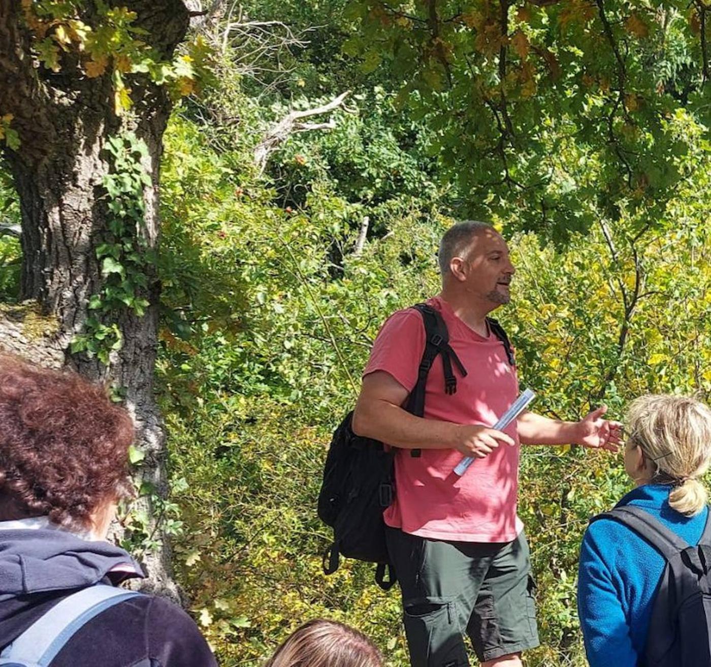 Affiche officielle Balade découverte des plantes au fil des saisons 2026