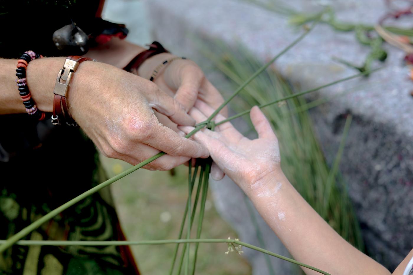 Affiche officielle Balade « Les plantes, nos alliées pour demain ! » 2026