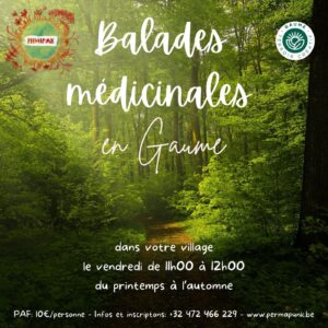 Balade médicinale en Gaume 2026