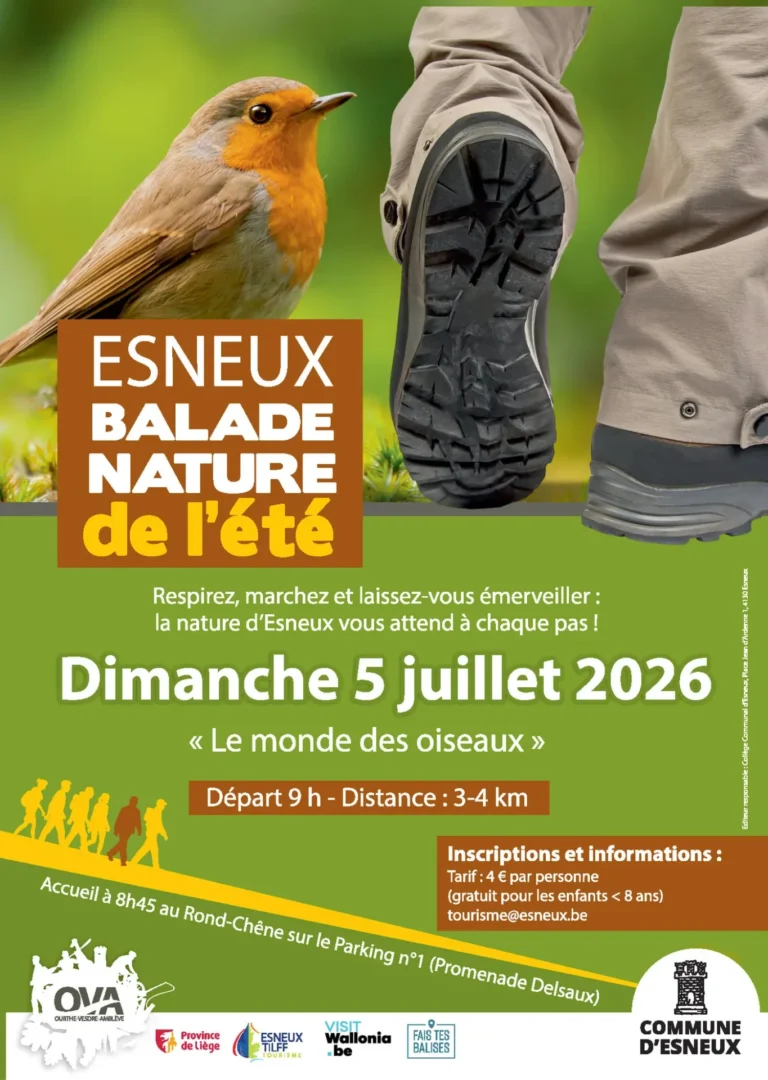 Esneux > Balade > Balade nature guidée – Le monde des oiseaux