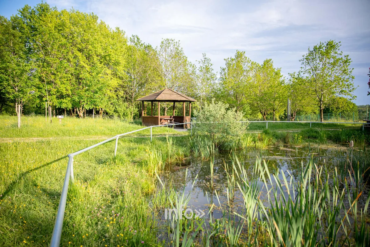 Balades à Arlon : les 9 plus beaux itinéraires (carte et infos)