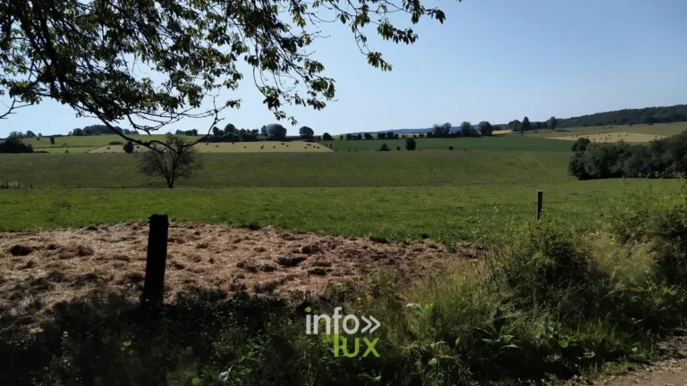 Balades à Daverdisse : les 19 plus beaux itinéraires (carte et infos)