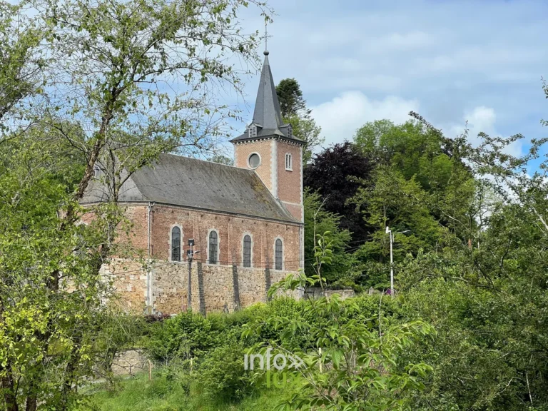 Balades à Erezée : les 15 plus beaux itinéraires (carte et infos)