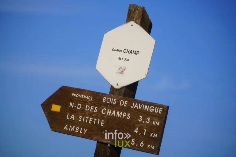 Balades à Nassogne : les 16 plus beaux itinéraires (carte et infos)