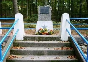 Le monument du 100e bataillon à Bruyères