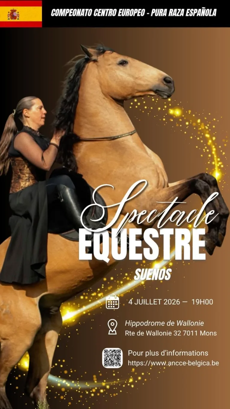 CAMPEONATO CENTRO EUROPEO del caballo de Pura Raza Española à Mons