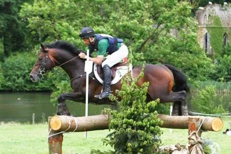 Gesves > Sport > Championnat de Belgique des Jeunes Chevaux
