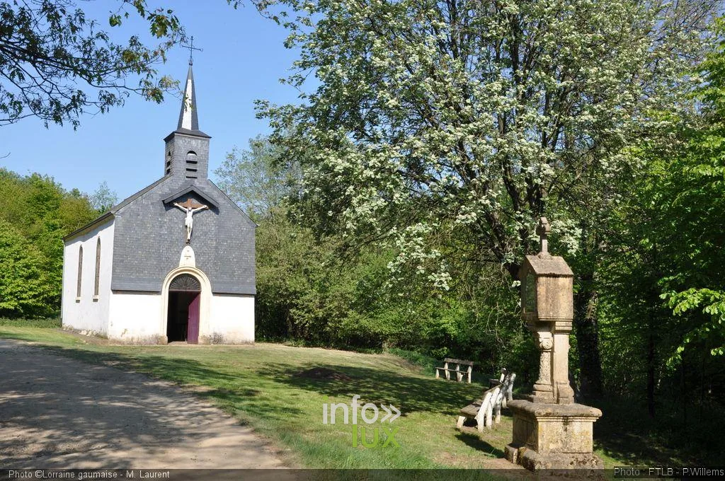 La chapelle de Wachet dans son écrin forestier
