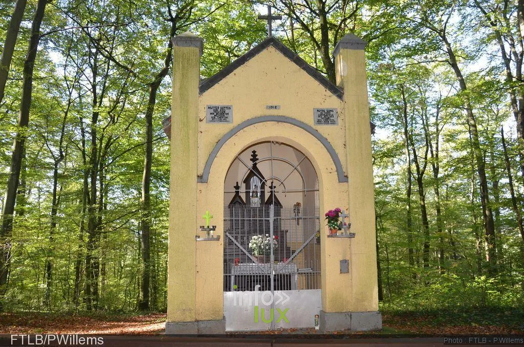 La chapelle Notre-Dame au Chêne dans son cadre forestier