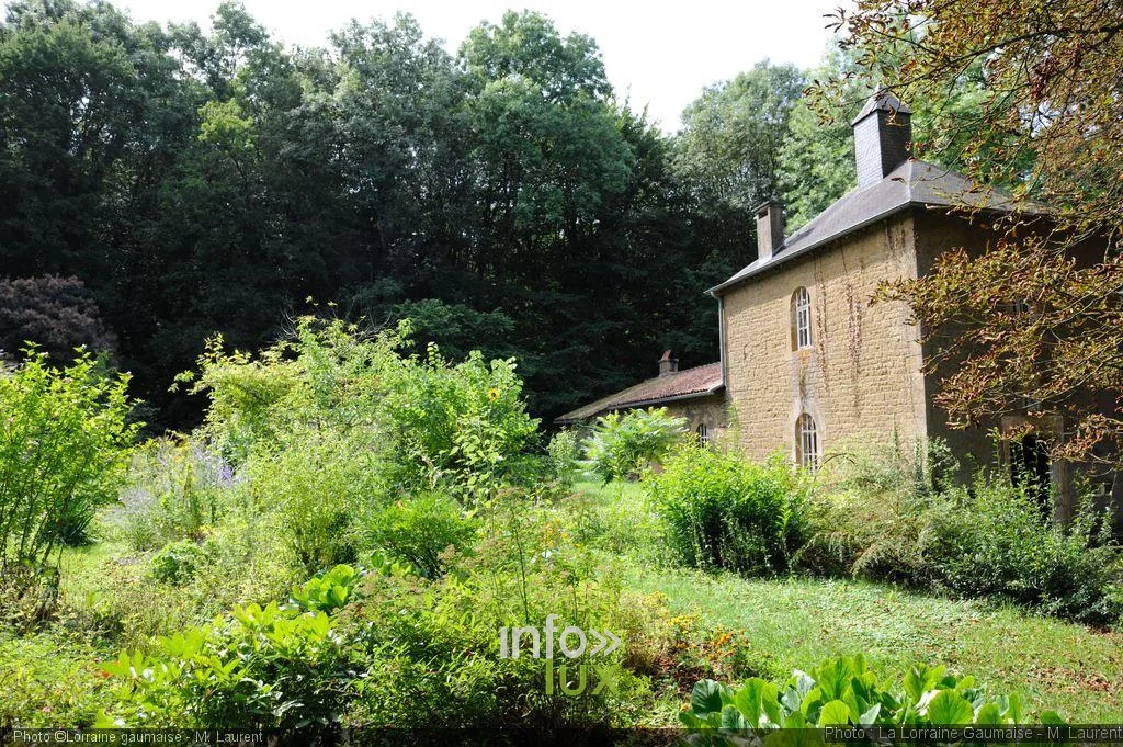 La chapelle de l'ermitage de Torgny nichée dans la verdure