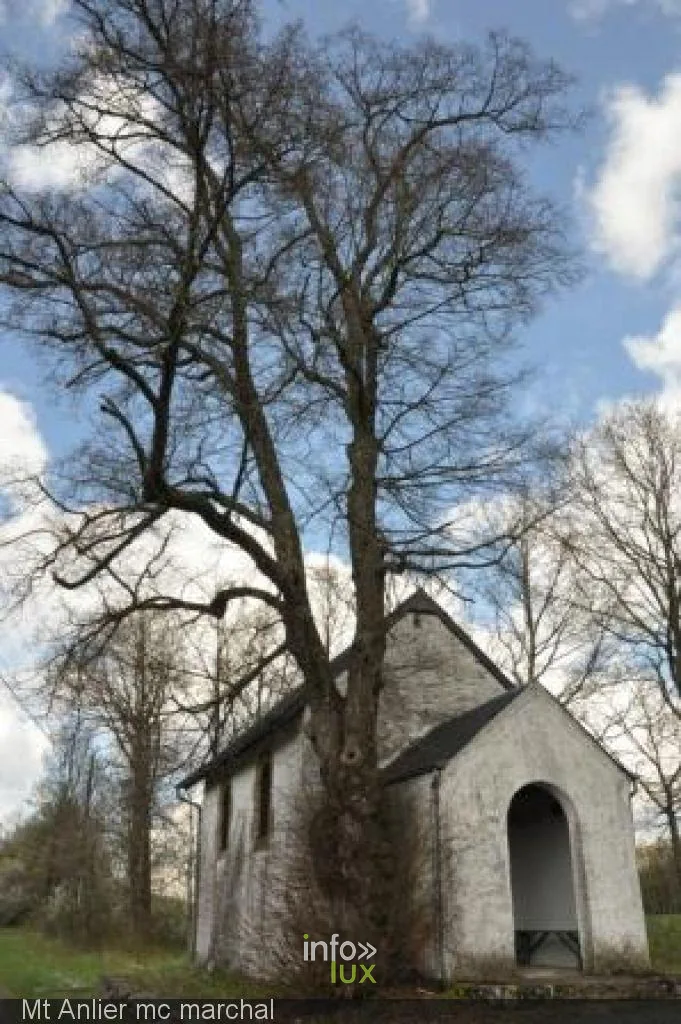 La chapelle de Habay-la-Vieille et ses tilleuls
