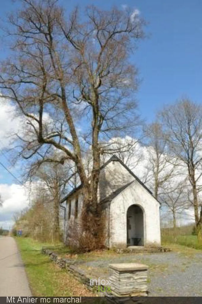 La chapelle Notre-Dame de Luxembourg et ses trois tilleuls, Habay-la-Vieille