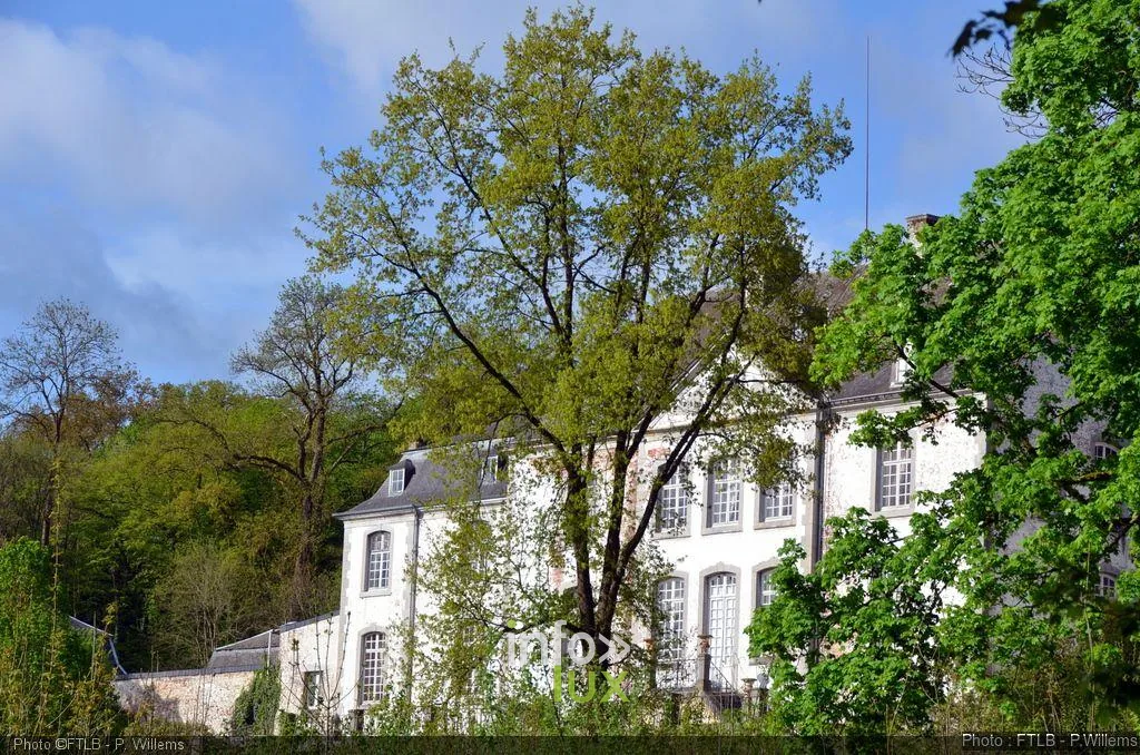 Cour d'honneur du château de Deulin