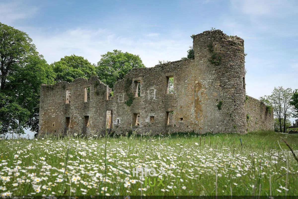 Rouvroy > Châteaux > Les ruines du château de Montquintin